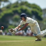 portrait-person-playing-cricket-sport (2)